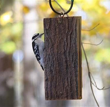 Deluxe Suet Sandwich Bird Feeder + 6 Refills by Birdschoice