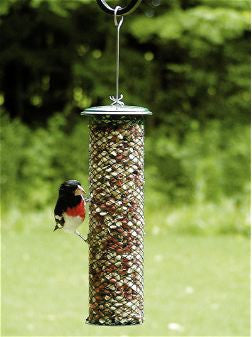 Shelled Peanut Feeder by BirdsChoice