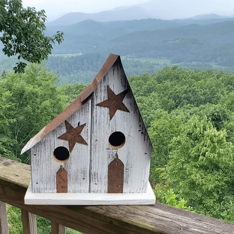 Barnwood Double Nest Birdhouse