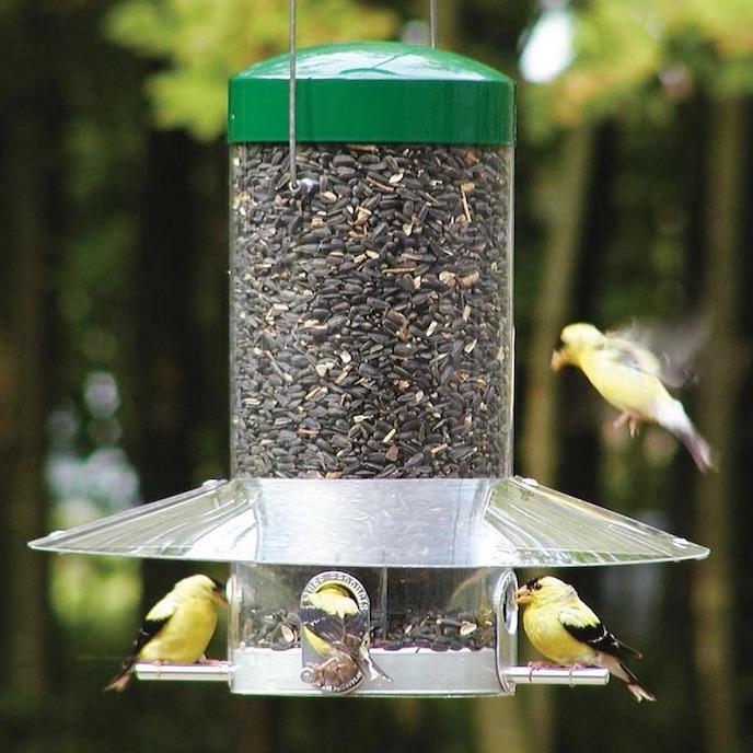 Squirrel-Proof Bird Feeders | Classic Hanging Squirrel Proof Feeder - The  Birdhouse Chick