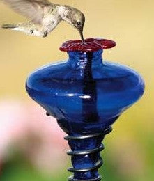 Cobalt Mini-Blossom Hummingbird Feeder
