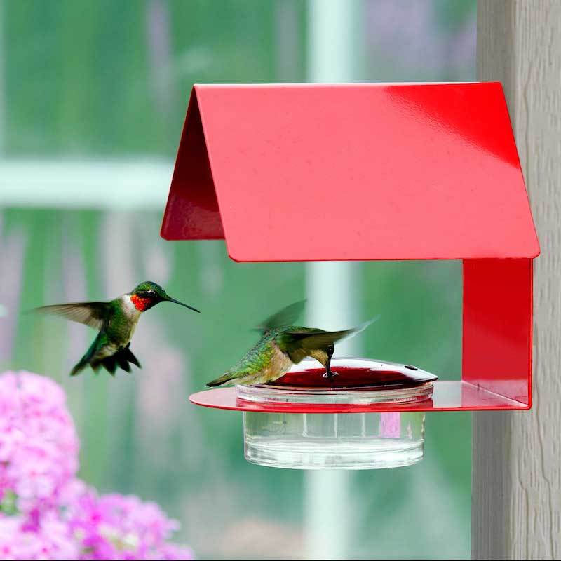 Cottage Hummingbird Feeder
