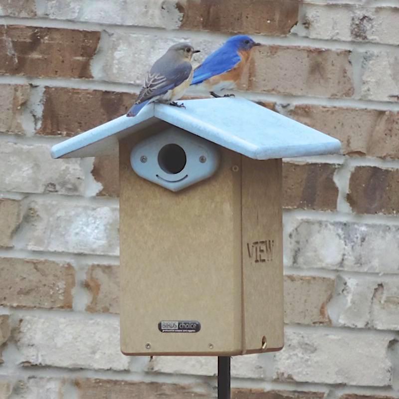 Deluxe Recycled Bluebird House