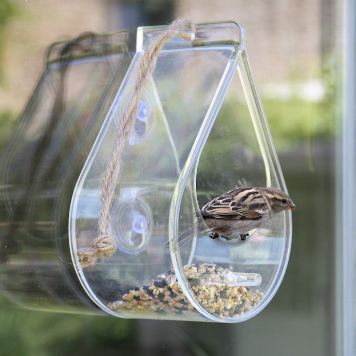 Dew Drop Window Bird Feeder