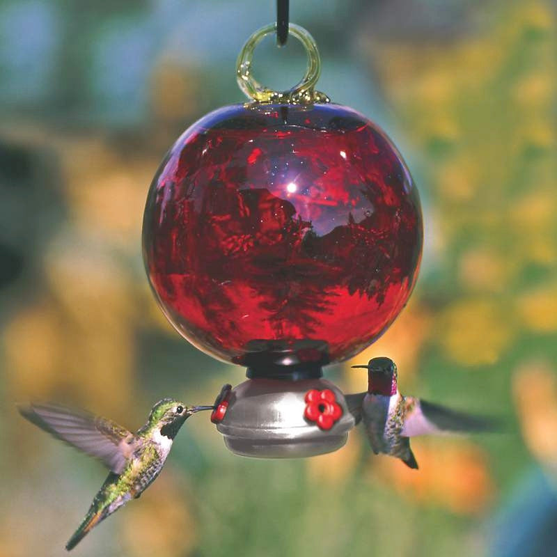 Dew Drop Hummingbird Feeder | Ruby Red Glass Globe Humming Bird Feeder ...