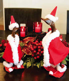 Teak Wood Santa Ducks-2 Sizes