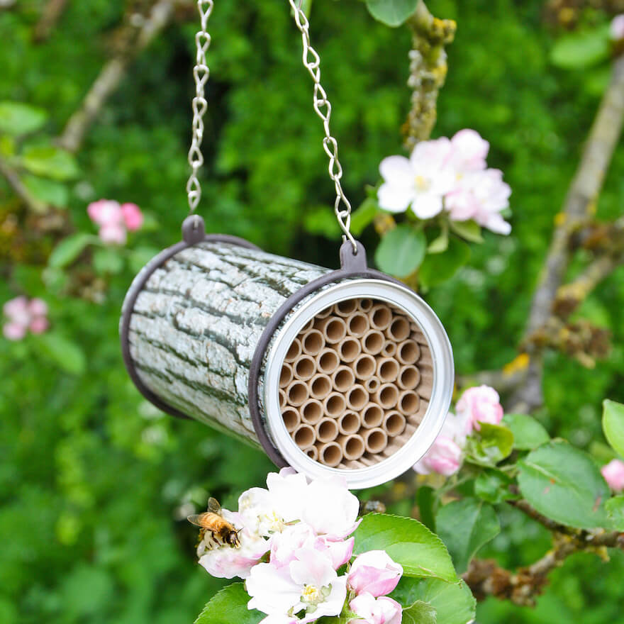 Garden Bee House