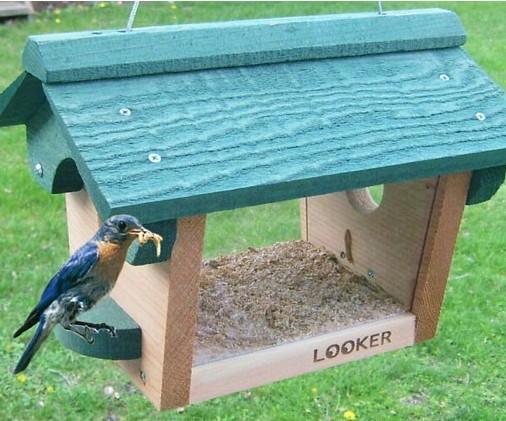 Hanging Bluebird Feeder- Wood