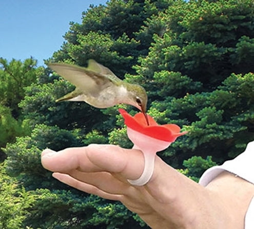 Hummer Ring Kit Hand-Held Hummingbird Feeders Hand Feed Hummers