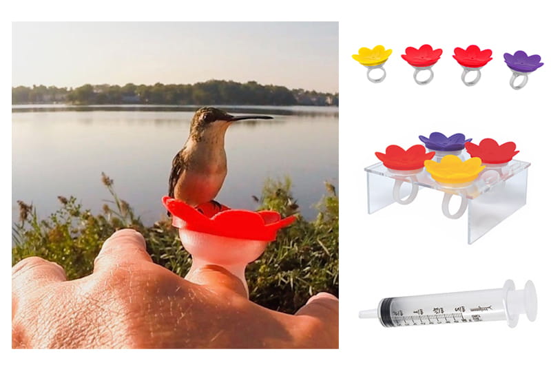 Hummer Made Rings Hummer Ring Kit | Hand-Held Hummingbird Feeders | Hand Feed Hummers ...