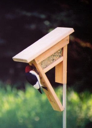 Clinger Woodpecker and Peanut Feeder