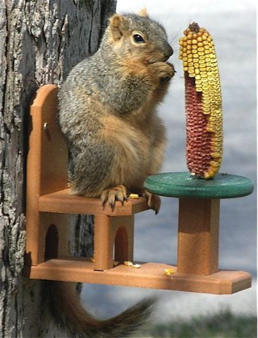 Table and Chair Squirrel Feeder in Recycled Plastic
