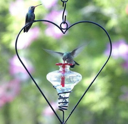 Mini-Blossom Heart Hummingbird Feeder-Clear