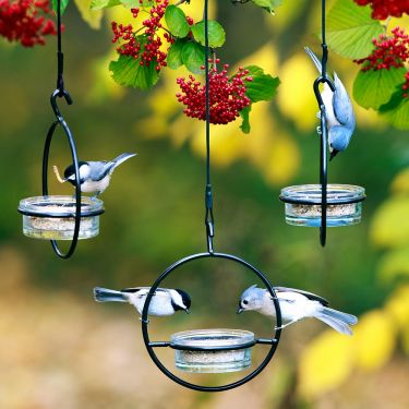 Multi-Use-Orb-feeder-for-all-birds
