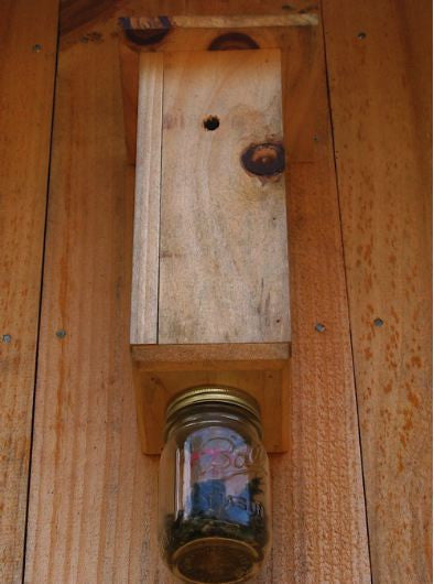 Carpenter Bee Trap is Effective and Proven