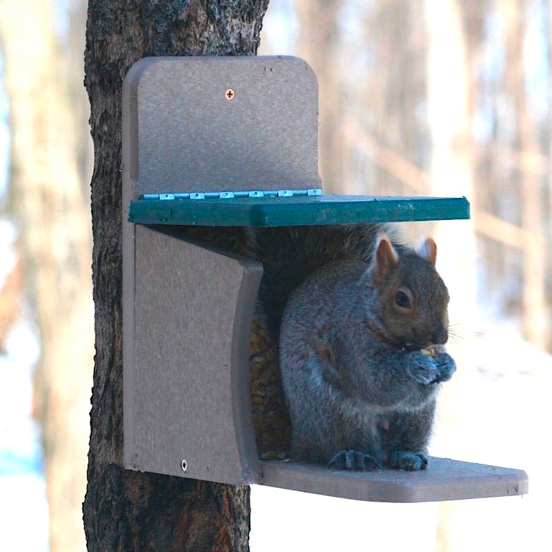 Recycled Munch Box Squirrel Feeder