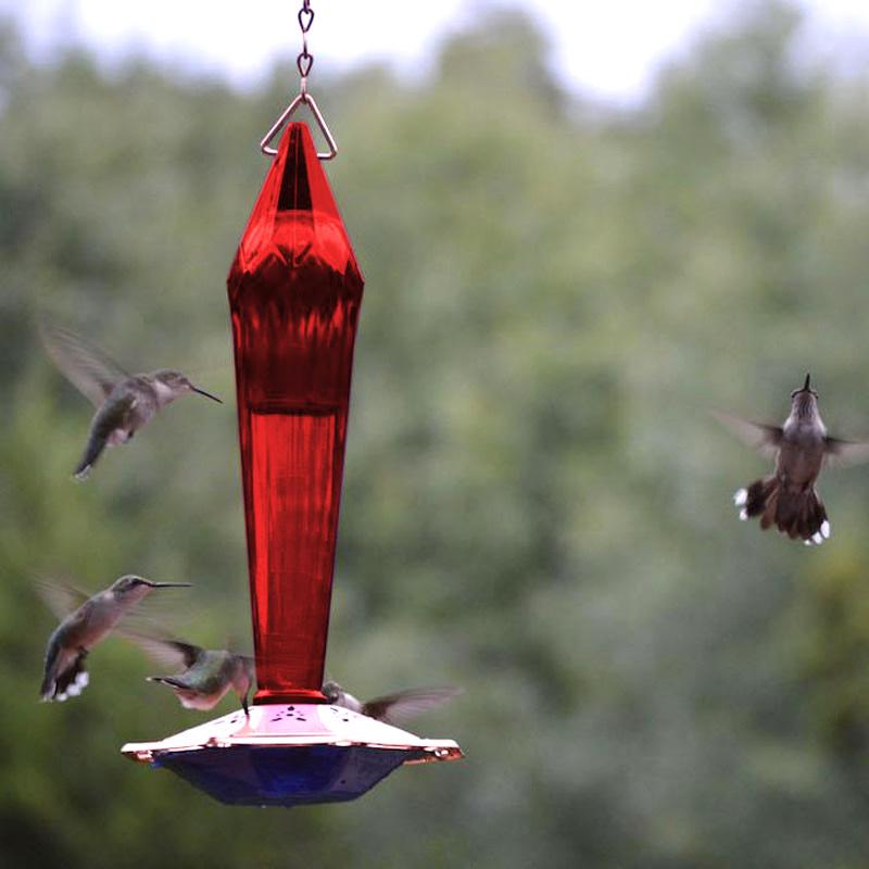 Faceted Glass Hummingbird Feeder- Ruby Red