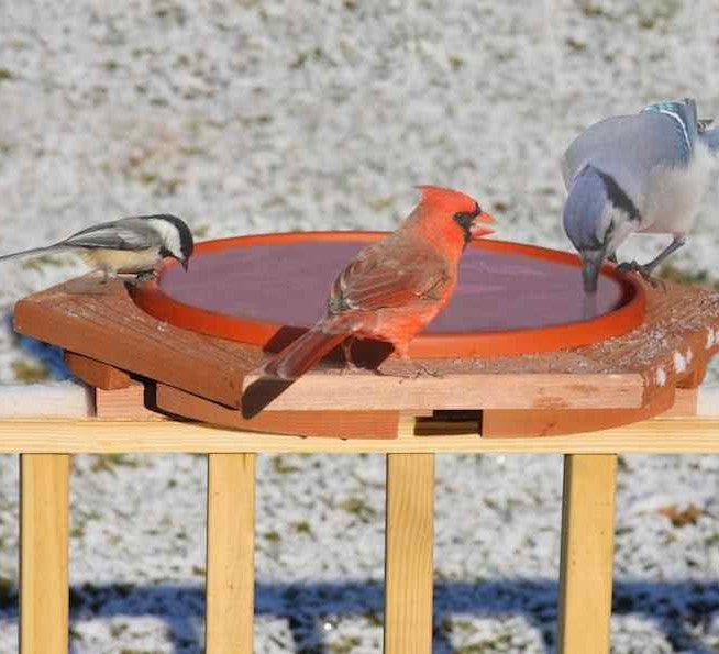 Deck Mount Bird Baths | Ground Bird Baths | Unique Birdbaths – The ...