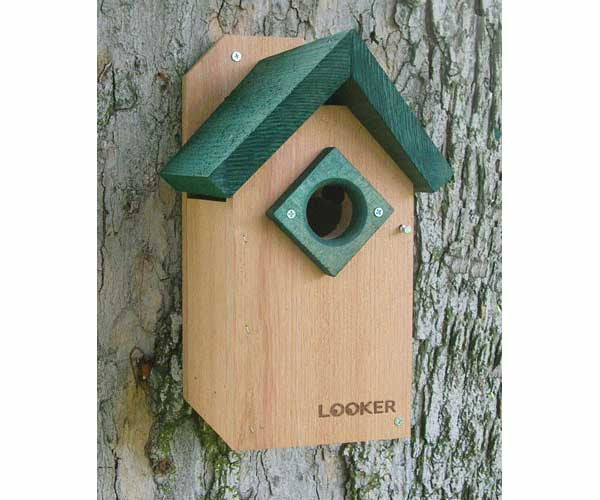 Green Roof Bluebird House-NABS Approved