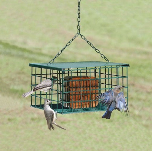 Squirrel- Proof Suet Feeder