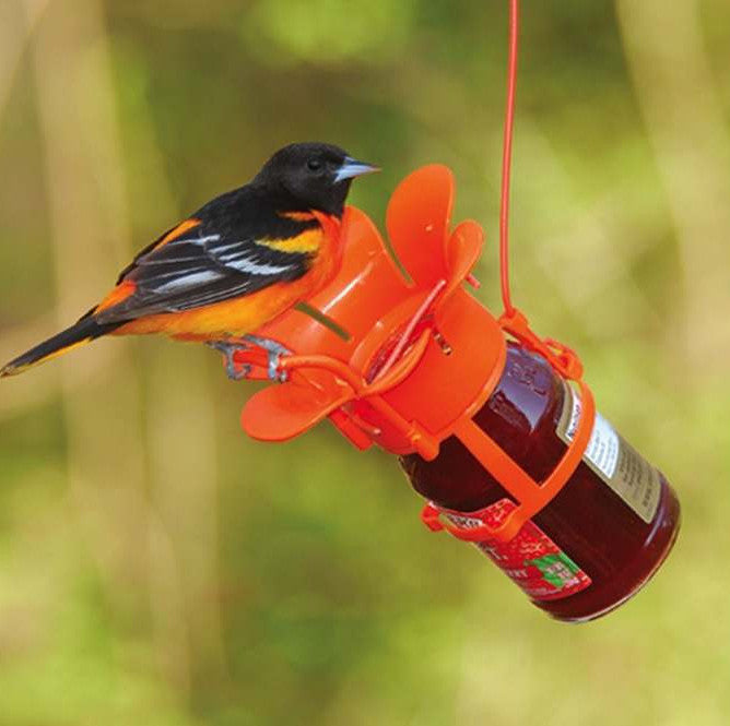Fun Jelly & Jam Feeder for Orioles and More