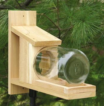 Songbird Cedar Squirrel Jar Feeder