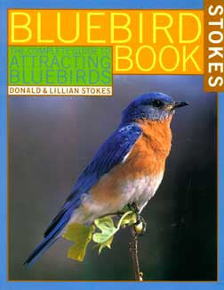 Complete Guide to Attracting Bluebirds