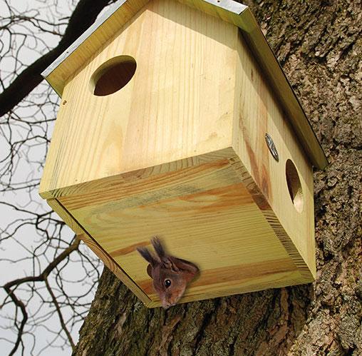 Squirrel House with Bottom Entry
