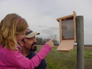 View Thru BlueBird House-NABS Approved