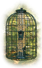 Caged Squirrel Proof Bird Feeder - 2 lb. by Woodlink