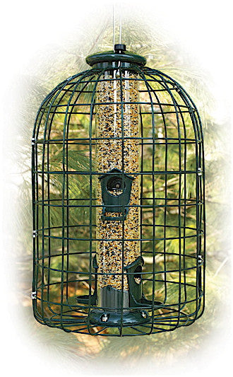 Caged Squirrel Proof Bird Feeder - 2 lb. by Woodlink