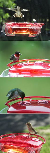Bird Feeders, Houses& Baths, Wildlife Hummingbird Feeders