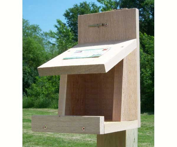 Cedar Platform Bird Feeder