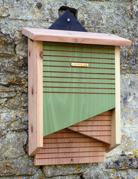 bat fishing boxes Double Chamber Bat House | Conservation Bat Box