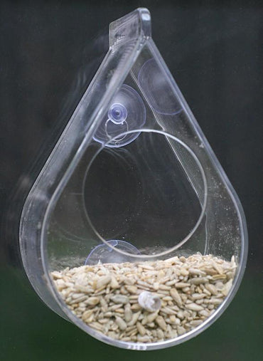 Window Bird Feeder
