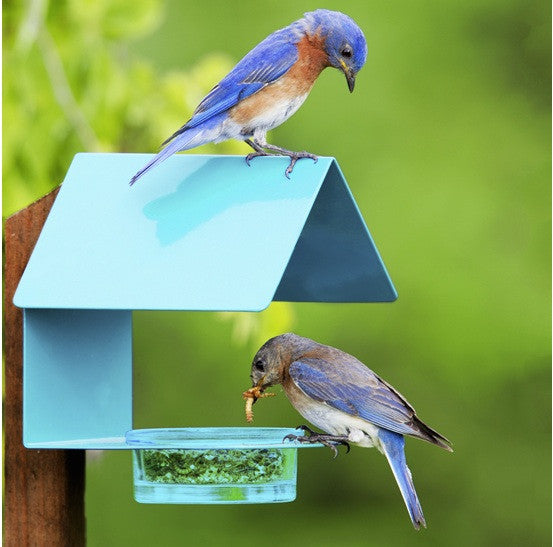 Fence Post Sheltered Bluebird Feeder