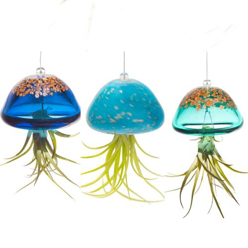 Jellyfish Air Plant Hangers  Cool Glass Plant Hanger Gift - The Birdhouse  Chick