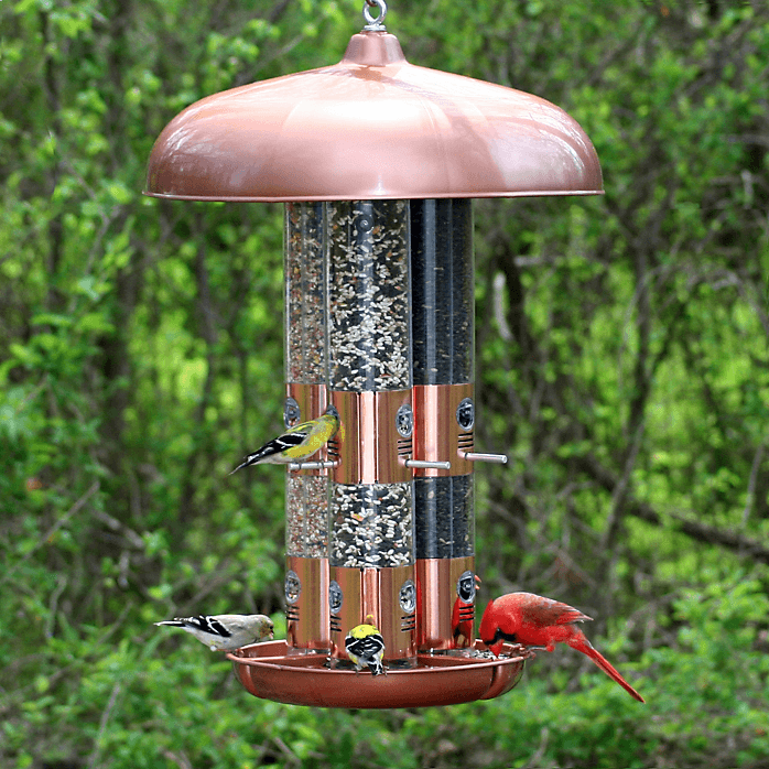 Large Triple Tube Bird Feeder with dome