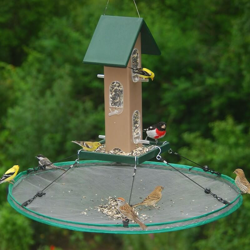 Bird feeder spill sales tray