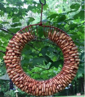 Peanut Wreath Feeder-For Birds or Squirrels