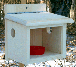Post Mount Wooden Bluebird feeder