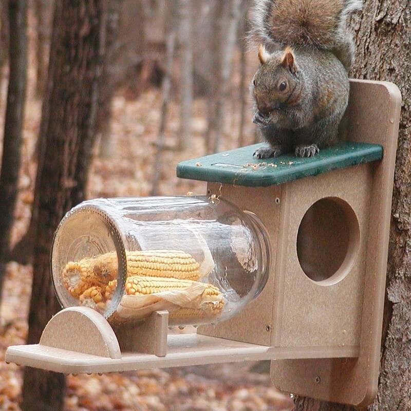 Recycled Squirrel Feeder Jar