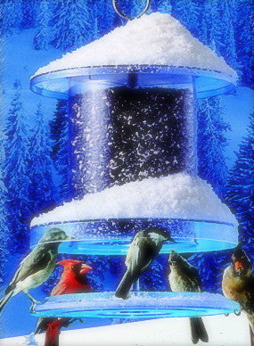 Songbird All Weather Feeder  Weather-Proof Bird Feeders - The Birdhouse  Chick