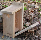 View Thru BlueBird House-NABS Approved