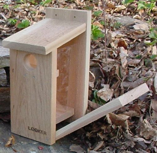 View Thru BlueBird House-NABS Approved