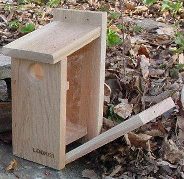 View Thru BlueBird House-NABS Approved