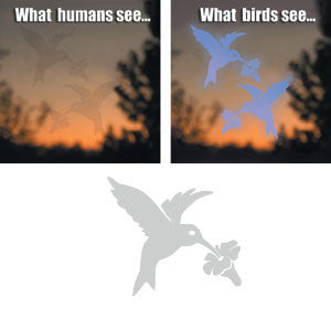 Window Alert Decals - Prevent Bird Strikes at Windows